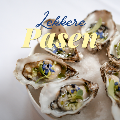 FORMAT SOCIAL VERTICAL